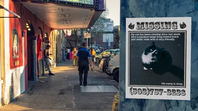 Image for Missing Cat Poster Design