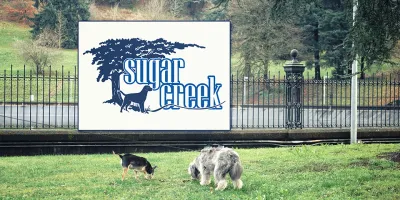 Image for Sugar Creek: Logo Design for a Countryside Retreat